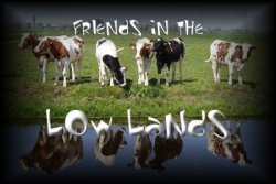 Friends In The Low Lands
