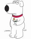 MalteseFalconX