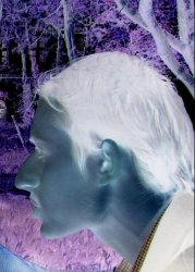 ibrahimari