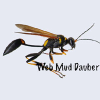 muddauber