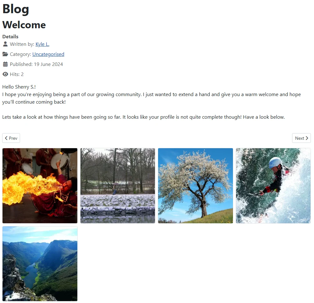 article media display