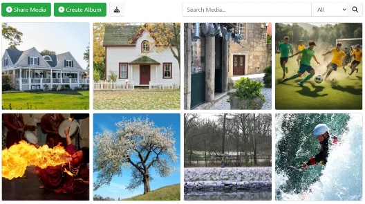 unlimited gallery media