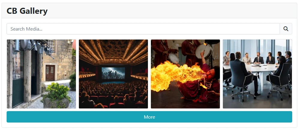 gallery module search and paging