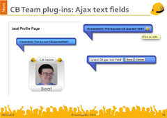 CB Ajax Text Field screenshot